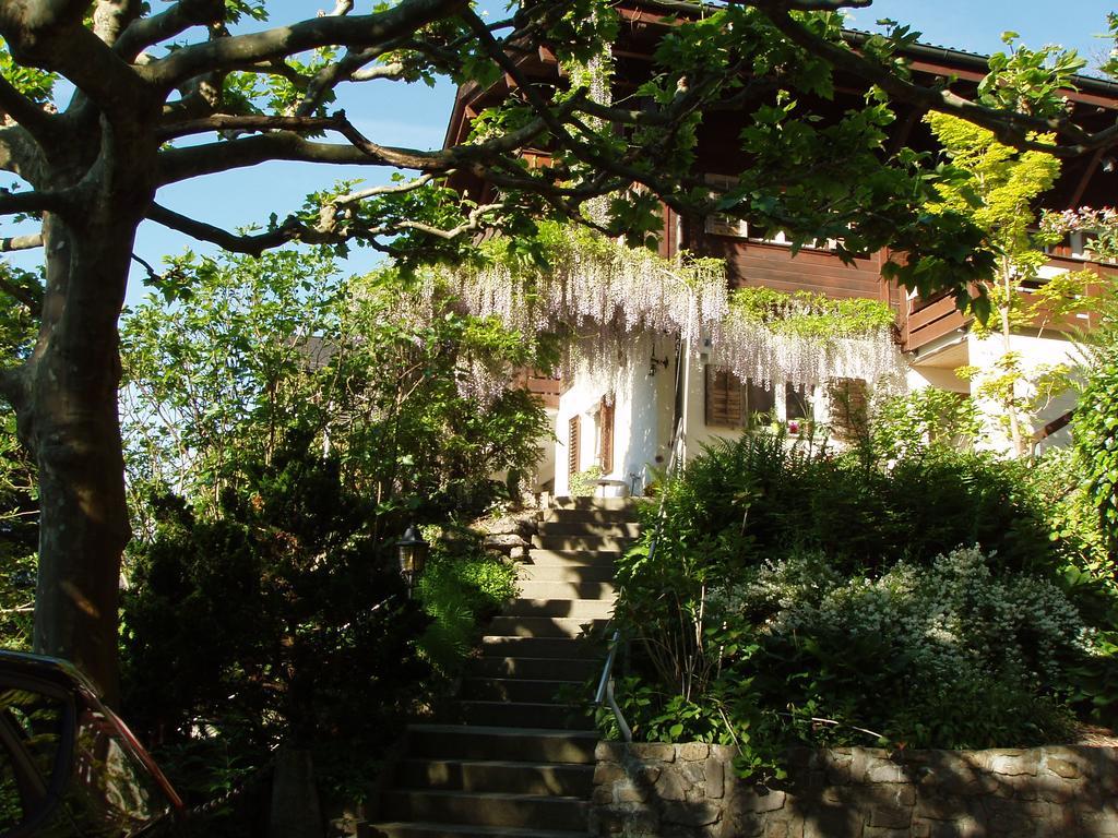 Ferienwohnung Selinda Niederried bei Interlaken Exterior foto